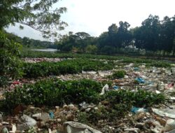 Tim Investigasi Dan Media FPRB Tingkat Kecamatan Karangbahagia Mencari Solusi Berkelanjutan Terhadap Sampah Sungai Ciherang Desa KarangSatu