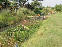 Petani Gotong Royong Bersihkan Sungai Sekunder Sukatani Bersama Jajaran Pemerintahan Desa Karang setia